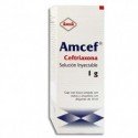 Amcef 1 g IV (solucion Inyectable) 10 ml
