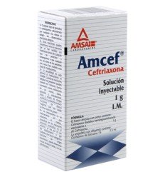 AMCEF 1 gr (solución inyectable) IM 3.5ml