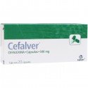 Cefalver (Cefalexina 500 mg) c/20 caps.